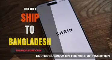 Does Temu Deliver to Bangladesh? Shipping Details and Availability