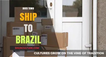 Does Temu Ship to Brazil? A Comprehensive Guide for Brazilian Shoppers