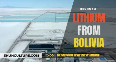 Where Does Tesla Source Lithium? Bolivia's Role Explored