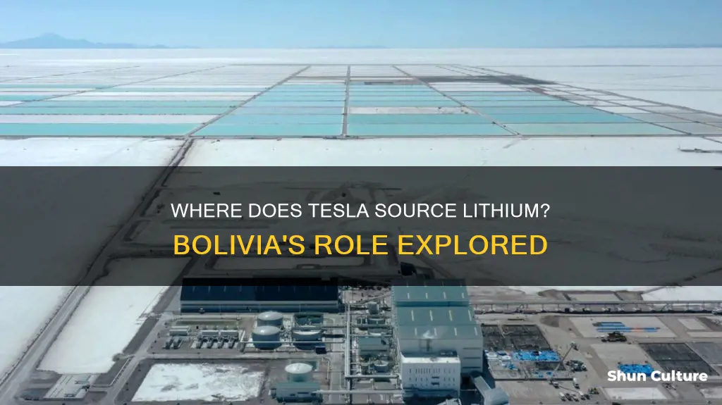 does tesla get lithium from bolivia