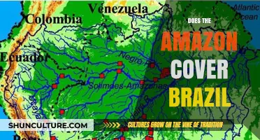 Does the Amazon Rainforest Span Across Brazil's Territory?