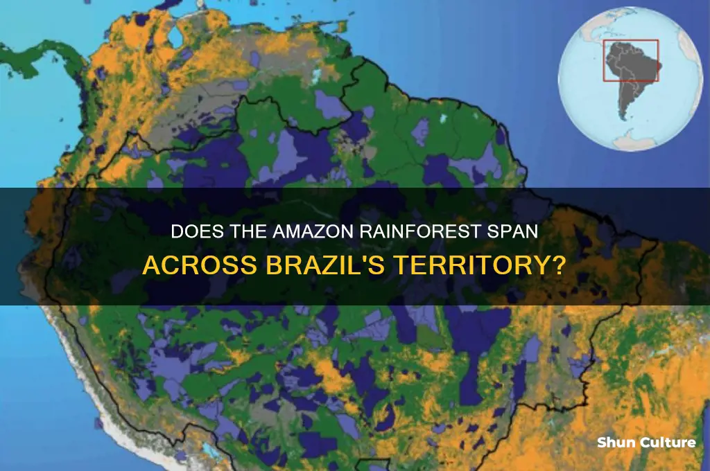 does the amazon cover brazil