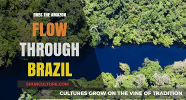Does the Amazon River Flow Through Brazil? Unraveling the Geography