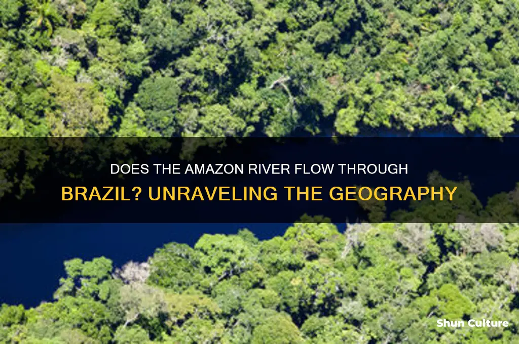 does the amazon flow through brazil