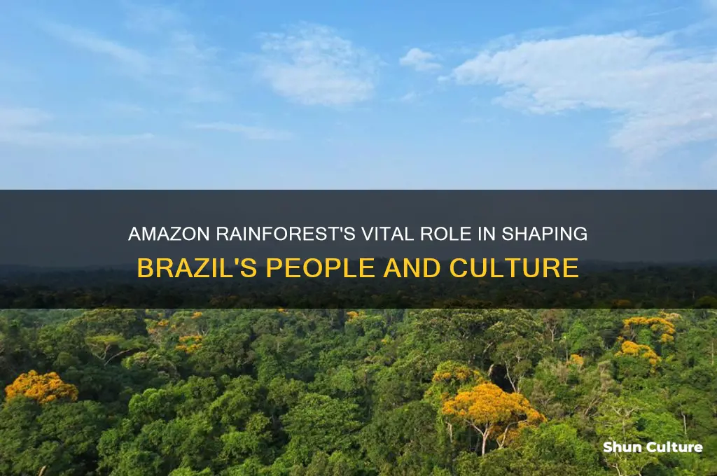 does the amazon rainforest impact the people of brazil