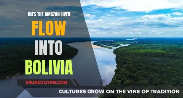 Amazon River's Flow: Does It Reach Bolivia?