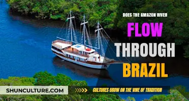 Exploring the Amazon River's Path: Does It Flow Through Brazil?