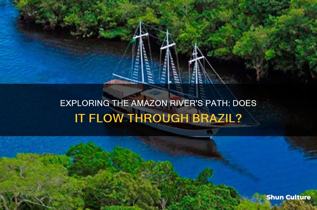 does the amazon river flow through brazil