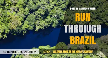 Exploring the Amazon River's Path Through Brazil: Facts and Insights