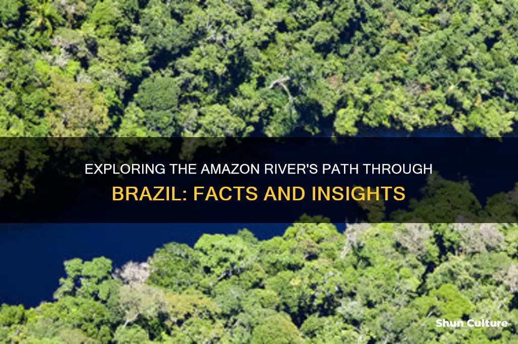 does the amazon river run throiugh brazil