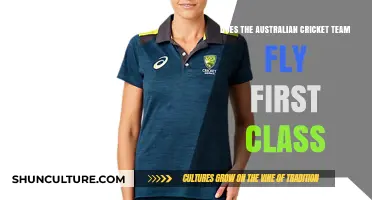 Do Australian Cricketers Fly First Class? Travel Secrets Revealed