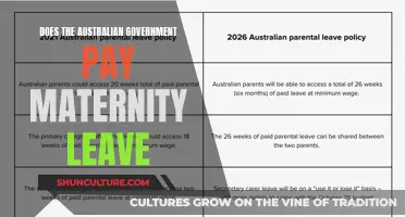 Australian Maternity Leave: What Benefits Does the Government Provide?