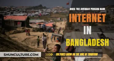 Internet Accessibility in Bangladesh: How Connected is the Average Citizen?