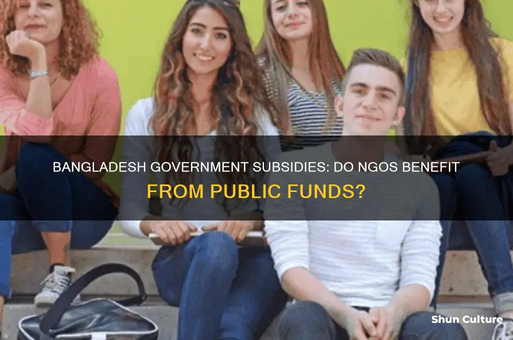 does the bangladesh government subsidize ngos