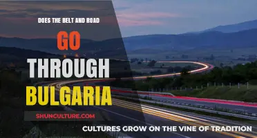 Exploring Bulgaria's Role in the Belt and Road Initiative
