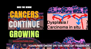 Understanding Benign Cancers: Do They Continue to Grow?