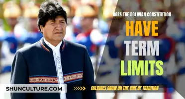 Bolivia's Constitution: Term Limits and Their Impact