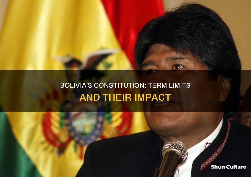 does the bolivian constitution have term limits