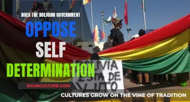 Exploring Self-Determination Opposition in Bolivia's Government