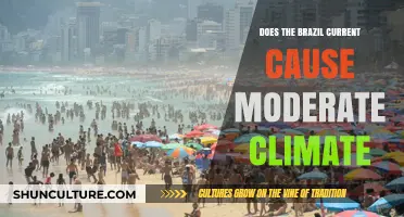How the Brazil Current Shapes South America's Moderate Climate