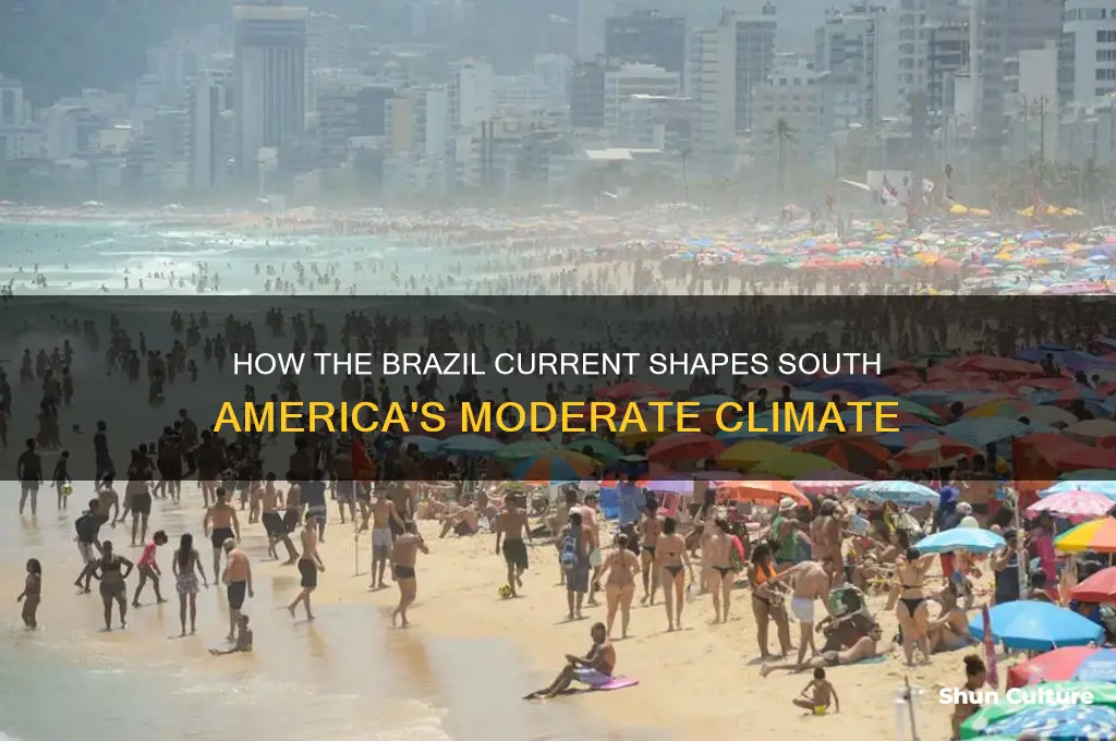 does the brazil current cause moderate climate