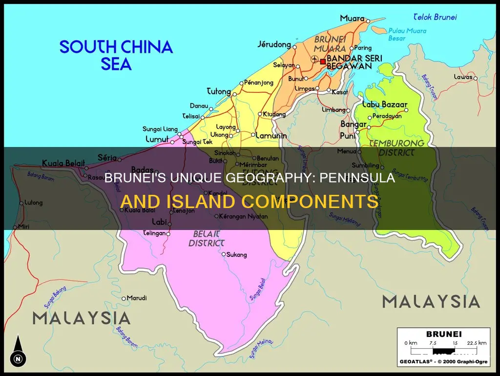 does the brunei have both peninsula and island components