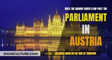 Danube River's Flow: Past Austria's Parliament