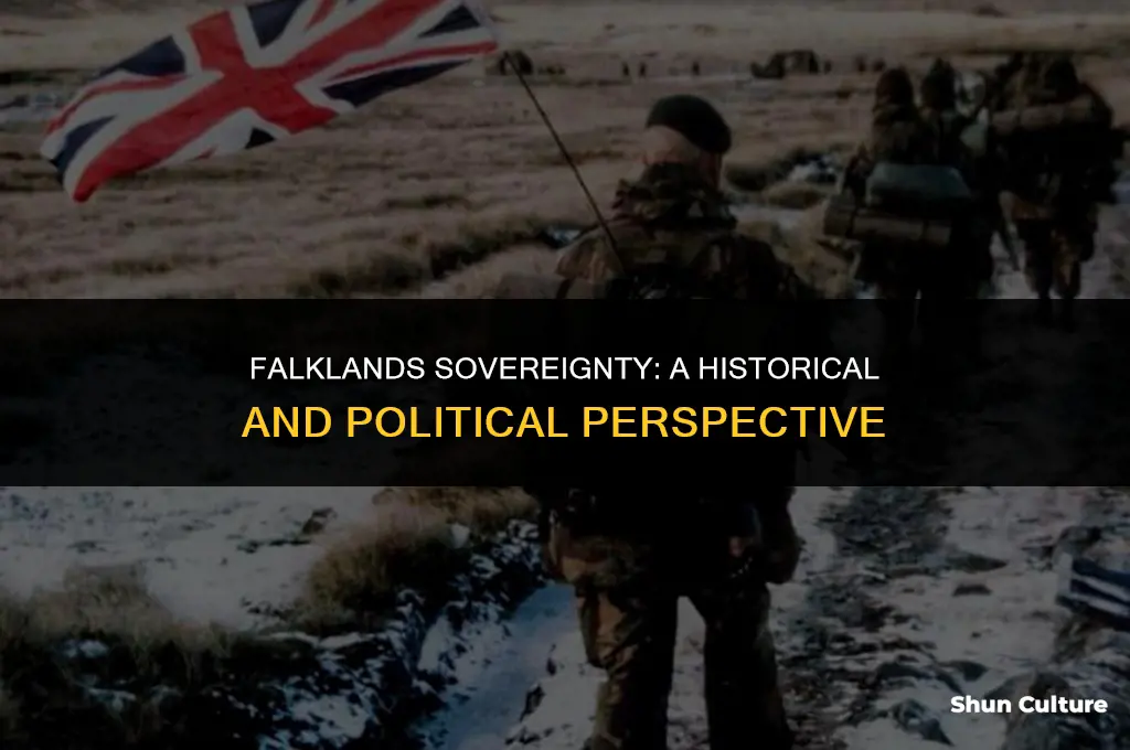 does the falklands belong to argentina