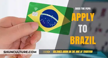 Does the FCPA Apply to Brazil? Key Legal Insights Explained