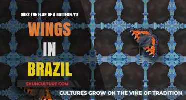 Butterfly Wings in Brazil: Unraveling the Chaos Theory's Global Impact