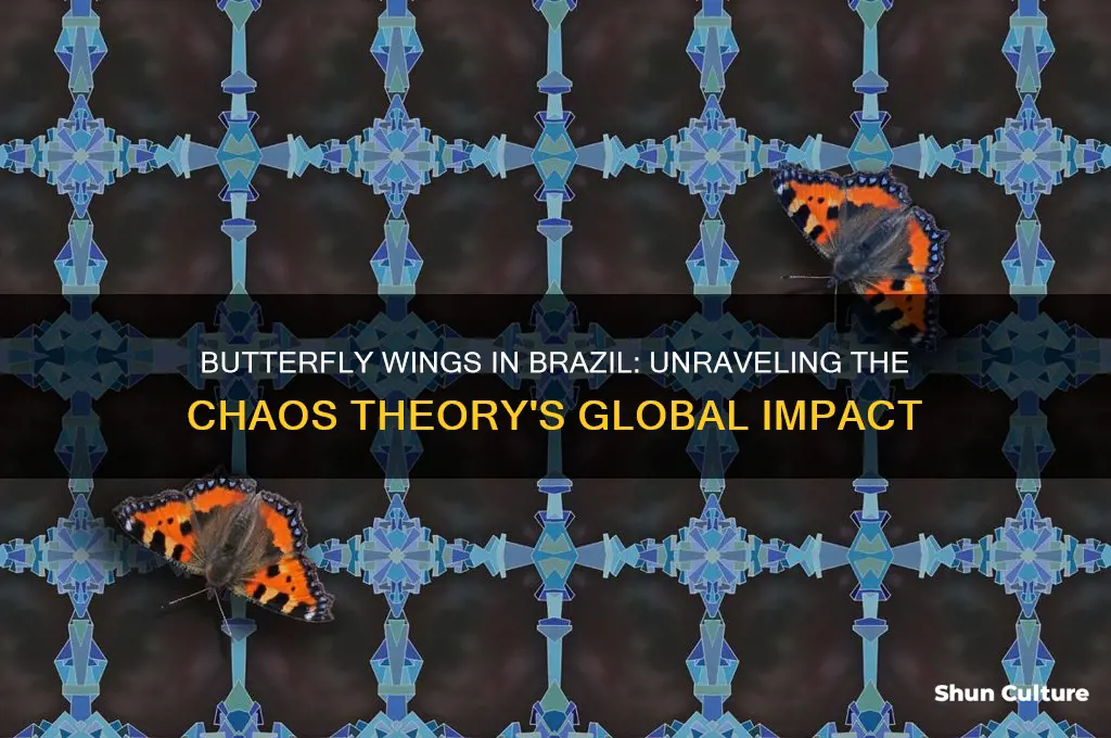 does the flap of a butterfly