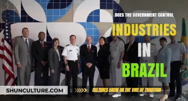Government Influence on Brazilian Industries: Control or Collaboration?