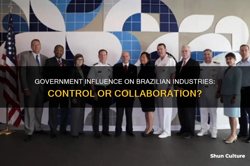 does the government control industries in brazil