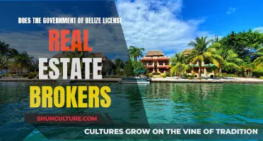 Belize's Real Estate Broker Licensing: What's the Deal?