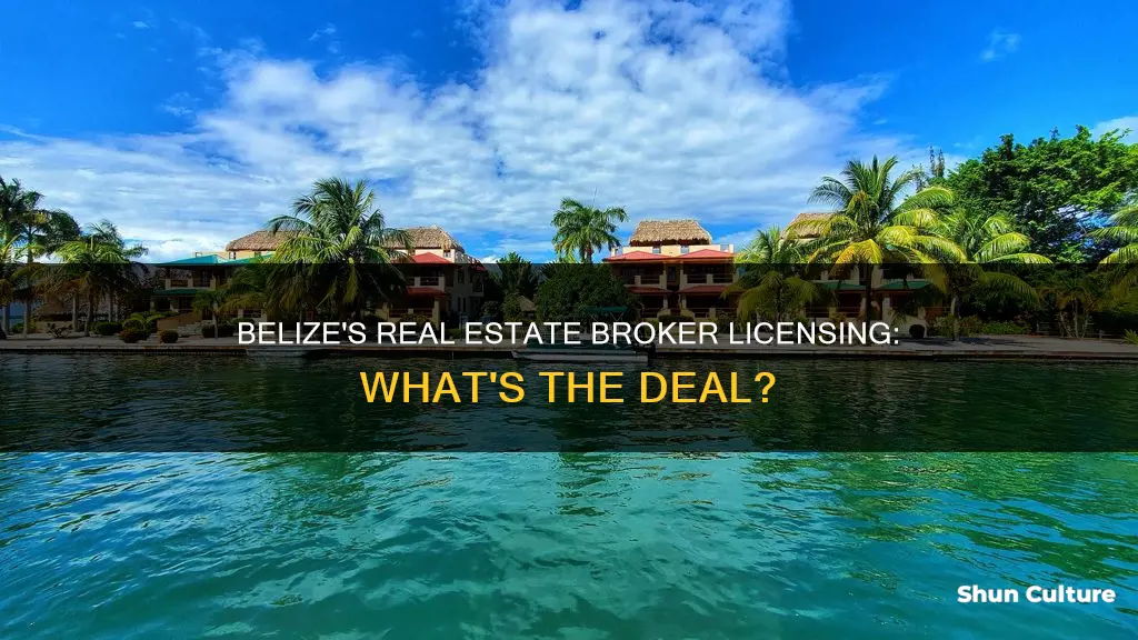 does the government of belize license real estate brokers