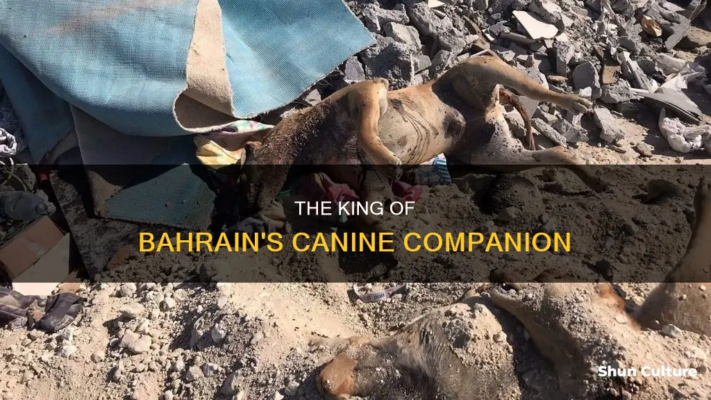 does the king of bahrain have a dog