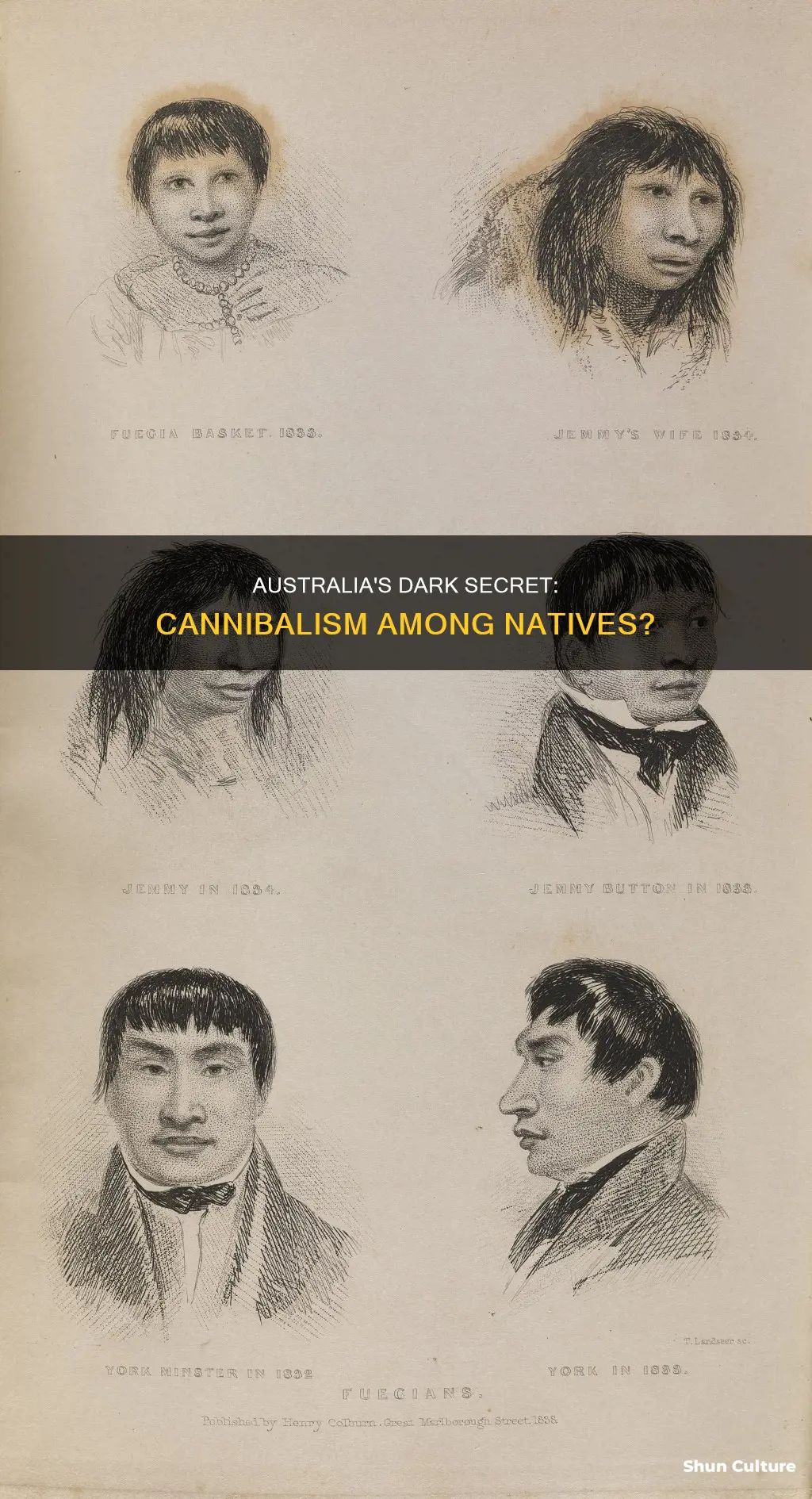 does the native population in australia commit canabalism