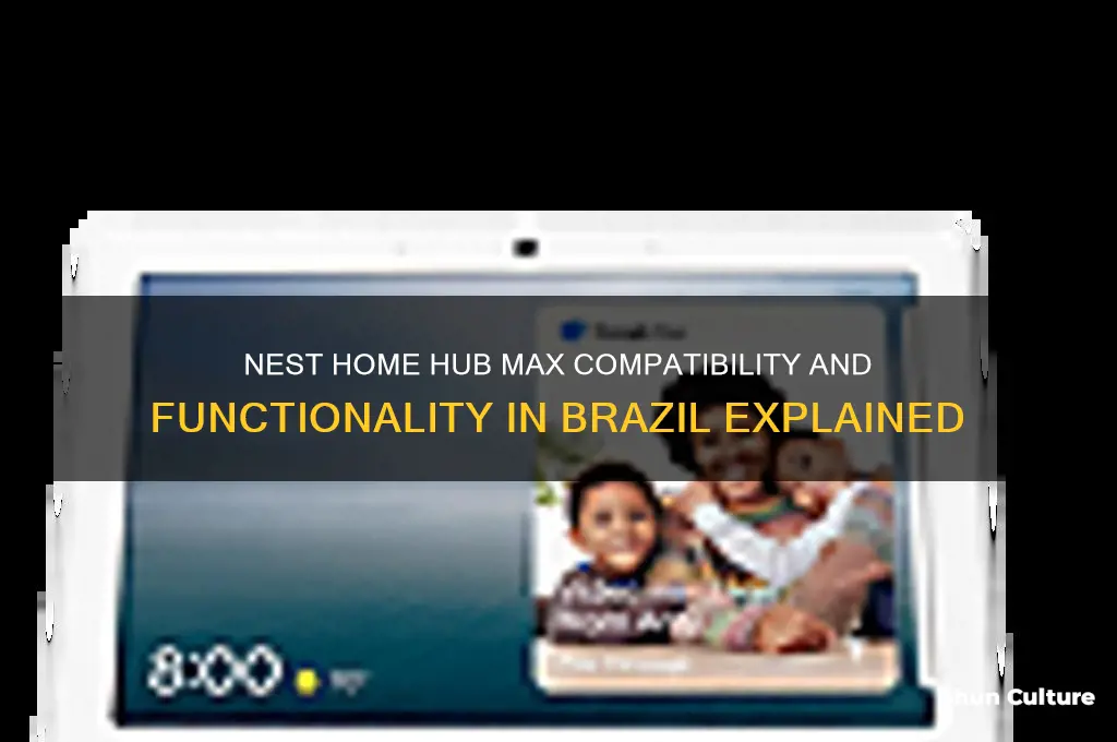 does the nest home hub max work in brazil