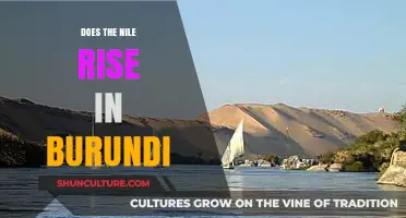 Unveiling the Mystery: The Nile's True Source in Burundi?