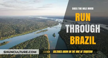 Does the Nile River Flow Through Brazil? Unraveling Geographic Myths