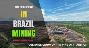 Brazil's Northeast Mining: Opportunities, Challenges, and Environmental Impacts Explored