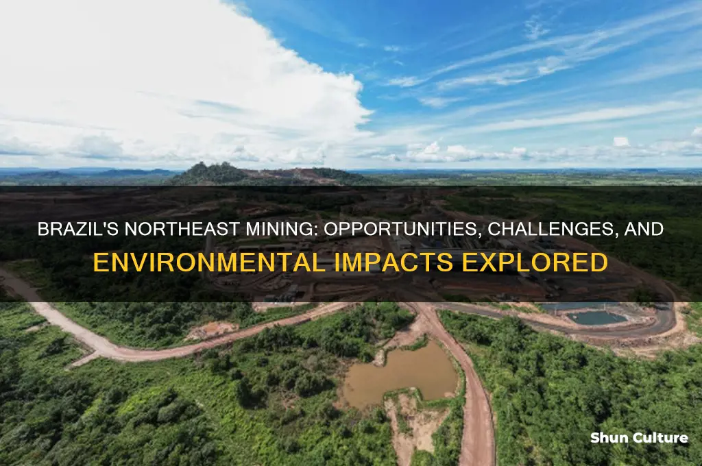 does the northeast in brazil mining