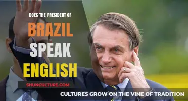 Does Brazil's President Speak English? Language Skills Revealed
