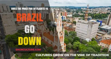 Will Flight Prices to Brazil Drop? Tips for Finding Cheaper Tickets