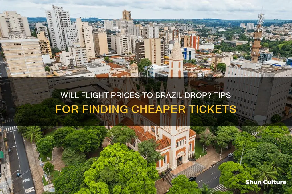 does the price for of flights to brazil go down