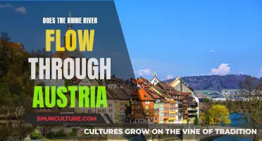 Rhine River's Course: Austria's Natural Wonder