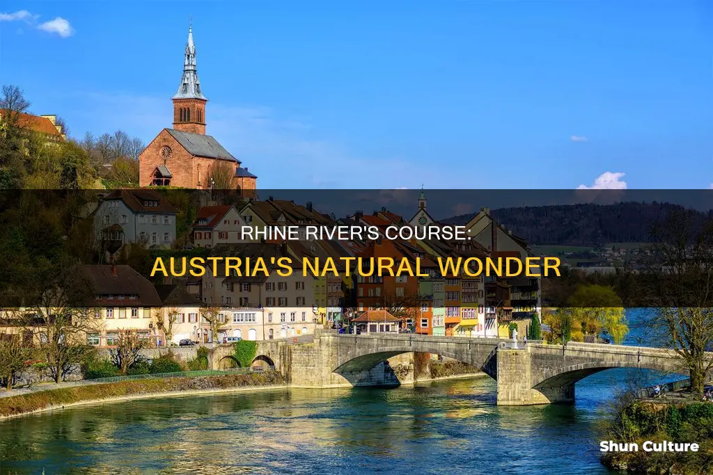 does the rhine river flow through austria