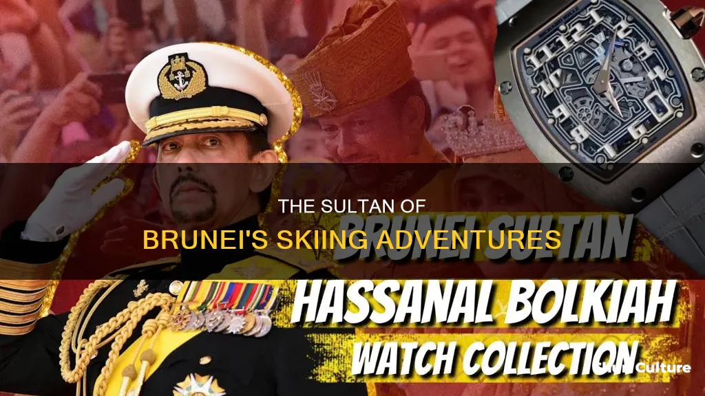 does the sultan of brunei ski