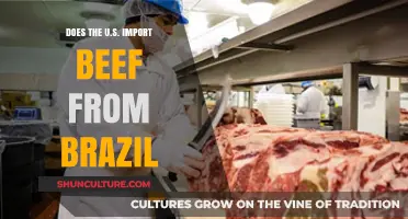 U.S. Beef Imports: Brazil's Role in American Meat Supply