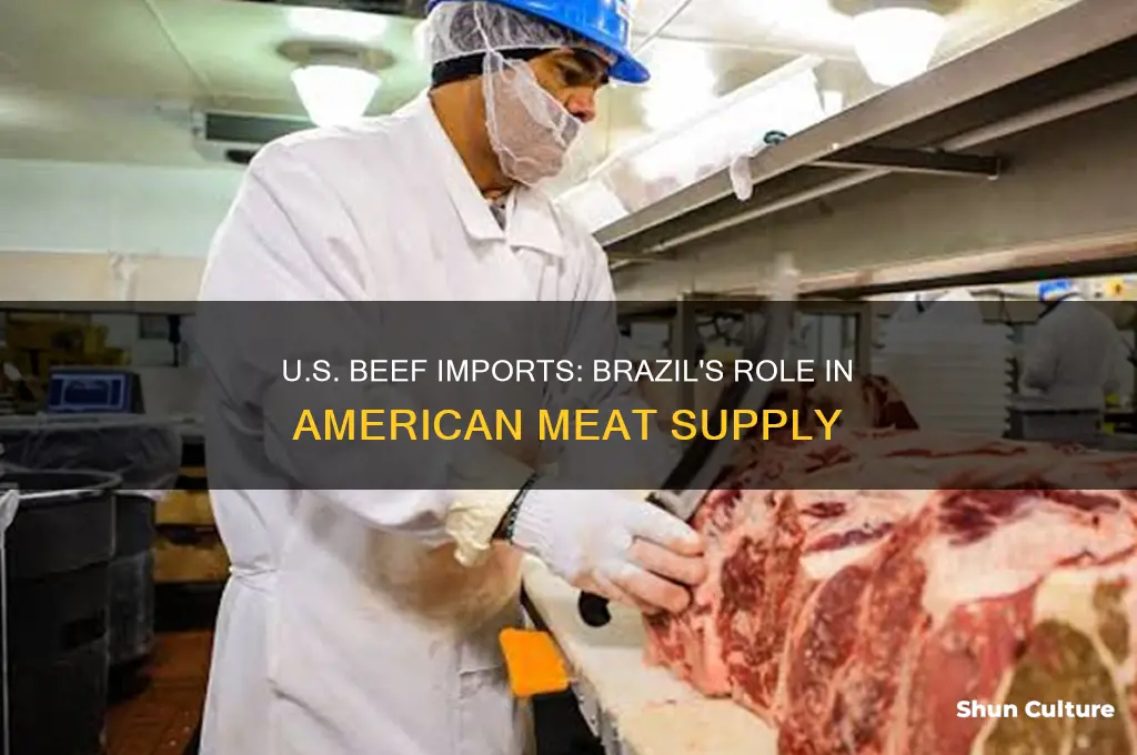 does the u.s. import beef from brazil